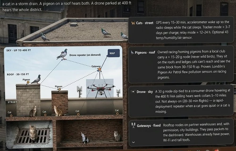 Sky, roof and street layers on one dashboard